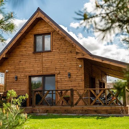 Brzozowy Zakatek Villa Dziemiany ภายนอก รูปภาพ