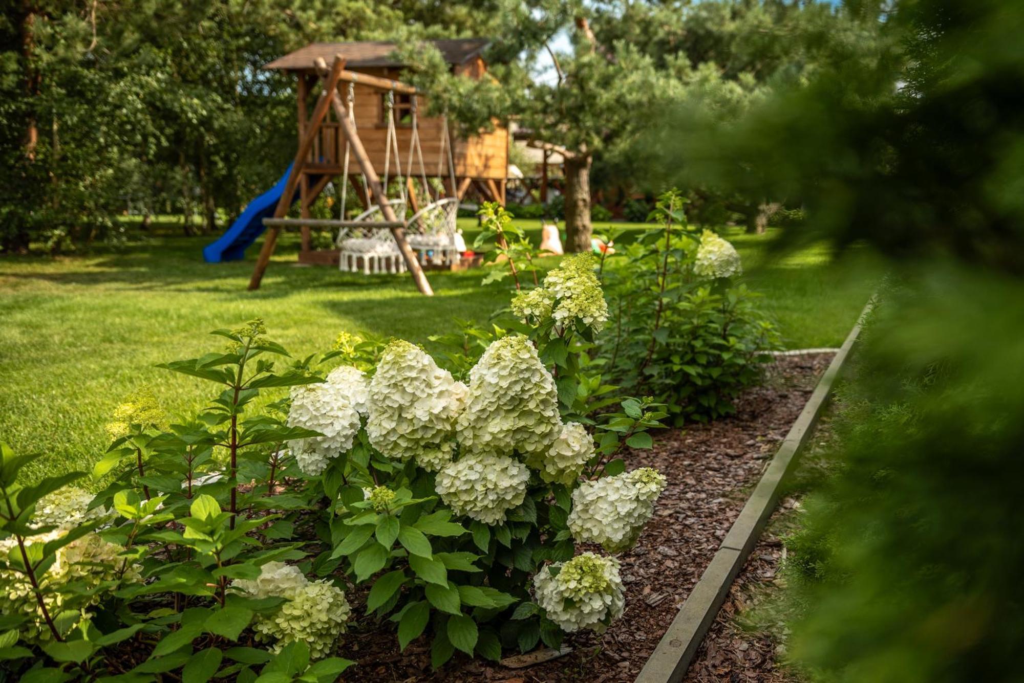 Brzozowy Zakatek Villa Dziemiany ภายนอก รูปภาพ